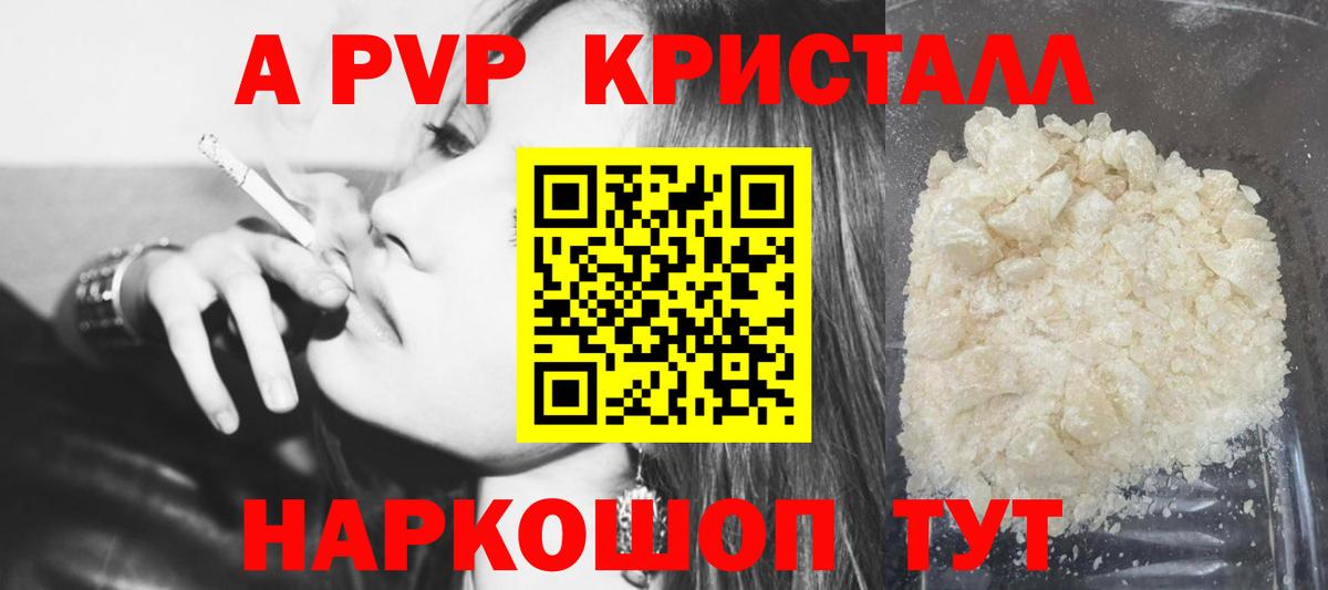 A PVP СК Киселёвск