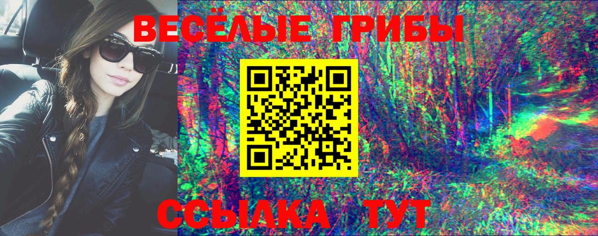 Псилоцибиновые грибы Psilocybine cubensis Киселёвск